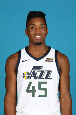 安排表达了 安排表达了