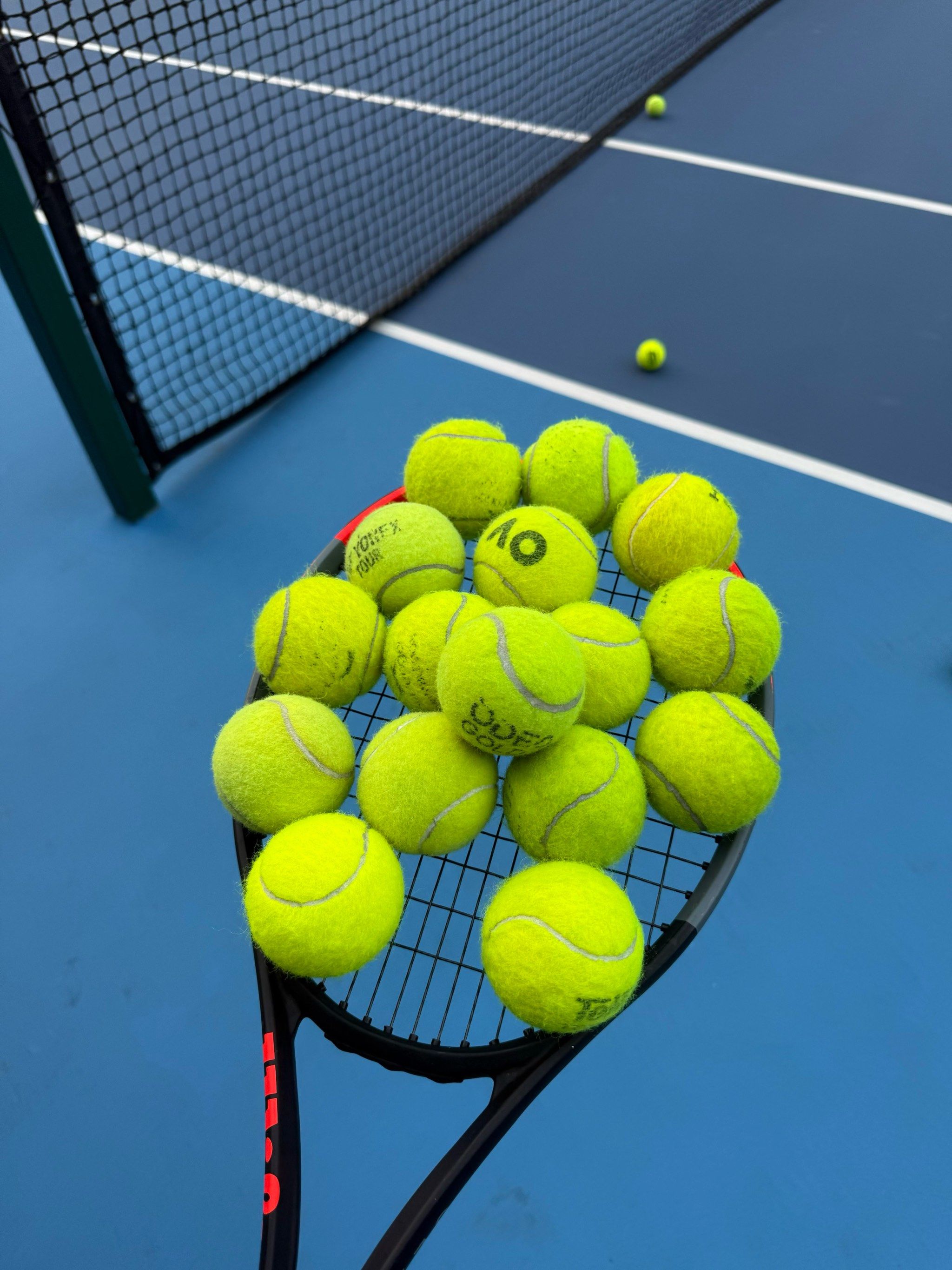 郑洁和张宇 郑洁和张宇